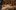 WING-SAVANNA-