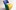 PALLONE-LILL-